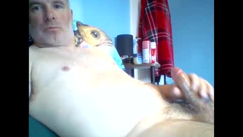 Snapshot of tazo78 chatting on November 9, 2025, 12:58 pm tazo78 online show from November 9, 2025, 12:58 pm