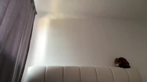 Amy No penetration Virgiin giirl online show from April 10, 2026, 1:05 pm