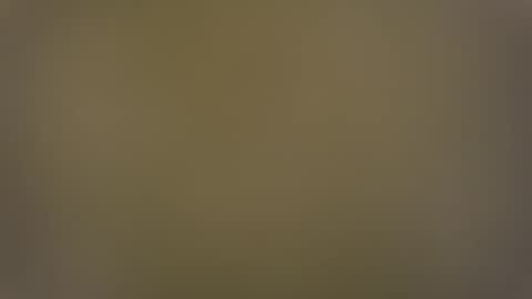 T online show from December 28, 2024, 7:55 am