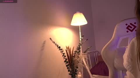 Sexy girl Li online show from November 8, 2025, 1:11 pm