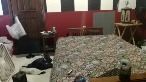 Snapshot of terdy2366 chatting on December 4, 2024, 8:07 pm terdy2366 online show from December 4, 2024, 8:07 pm