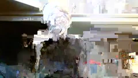 Snapshot of terdy2366 chatting on October 7, 2025, 3:25 am terdy2366 online show from October 7, 2025, 3:25 am