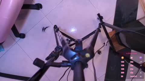 Terra Elowen online show from November 1, 2025, 11:45 am