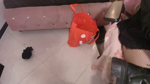 Terra Elowen online show from December 21, 2025, 11:28 am