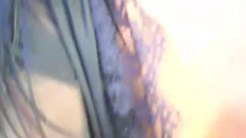 Tessa online show from May 11, 2026, 4:04 pm