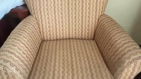 Tev online show from March 23, 2026, 3:05 pm