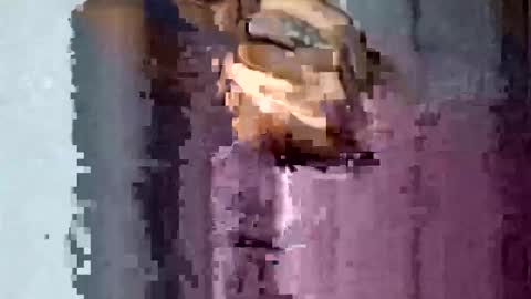 Snapshot of texasmade13 chatting on November 16, 2025, 1:55 am TexasDick online show from November 16, 2025, 1:55 am