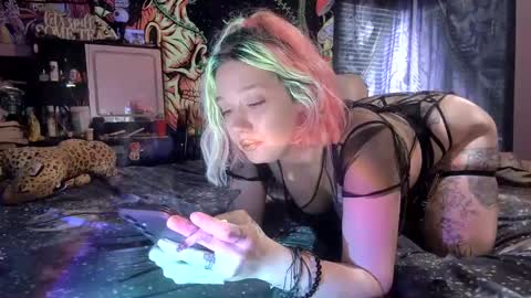 TEXASGIRLLLL online show from October 8, 2025, 3:31 pm