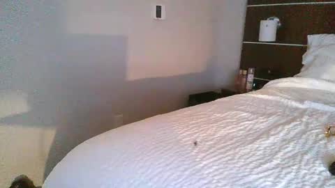 tfoolery34 online show from February 24, 2026, 11:52 am