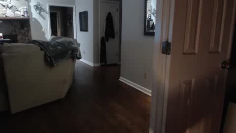 Brooklyn online show from January 8, 2025, 7:55 am