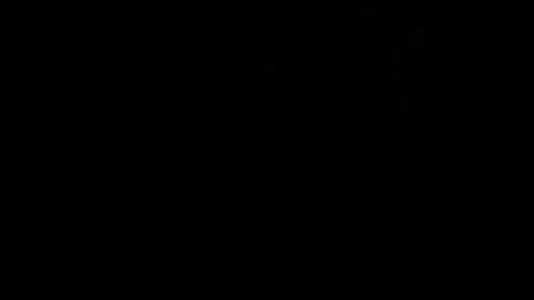 CJ online show from March 2, 2026, 5:08 am