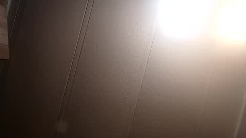 thatb1 online show from February 22, 2025, 10:40 am