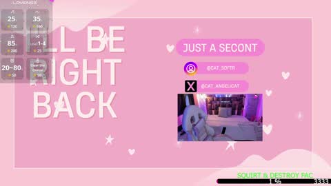 Snapshot of the_cat_girl_ chatting on January 13, 2025, 9:52 pm i am Cat online show from January 13, 2025, 9:52 pm