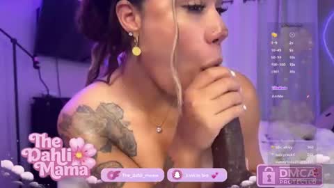 the_dahli_mama online show from July 20, 2026, 4:05 am