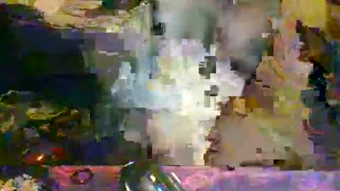 the_dragonlord1 online show from March 13, 2026, 4:08 am