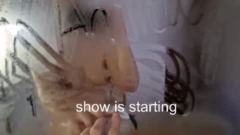 Anna online show from July 11, 2026, 11:06 pm