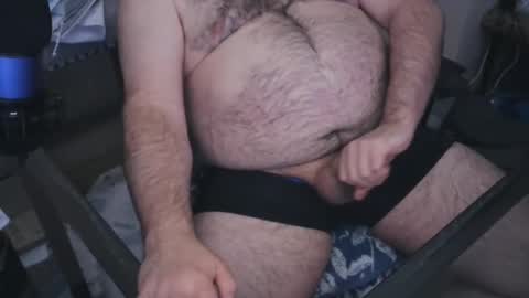 Snapshot of thebearking69 chatting on January 23, 2025, 5:56 am The Bear King online show from January 23, 2025, 5:56 am