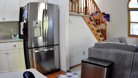 thegreat6268469 online show from October 3, 2025, 8:39 pm