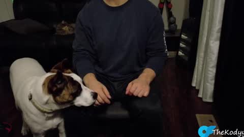 thekodyy online show from October 21, 2025, 12:55 am