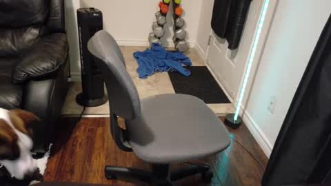 thekodyy online show from November 21, 2025, 1:26 am