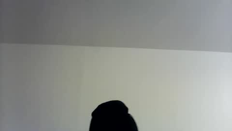 theman18951pa online show from November 1, 2025, 10:06 am