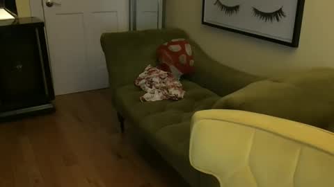 Snapshot of themrsnelson chatting on November 11, 2025, 8:36 am Cach Nelson online show from November 11, 2025, 8:36 am