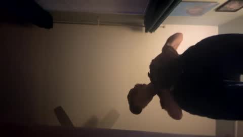 Snapshot of theonlyboi43ver chatting on January 2, 2025, 1:49 am theonlyboi43ver online show from January 2, 2025, 1:49 am