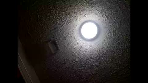 Amelia online show from January 17, 2026, 2:44 pm