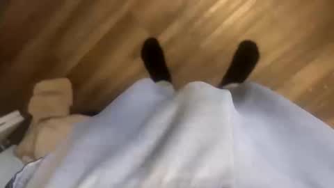 Snapshot of theplummer99 chatting on October 11, 2025, 1:53 pm theplummer99 online show from October 11, 2025, 1:53 pm