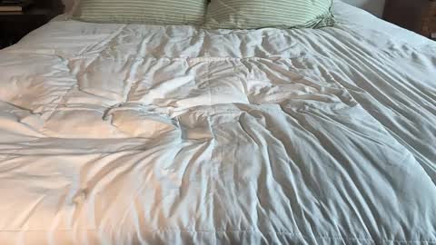 Maya Hill online show from April 13, 2026, 3:39 pm