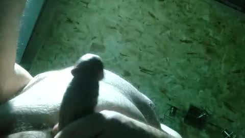 ThiccD online show from November 22, 2025, 9:14 pm