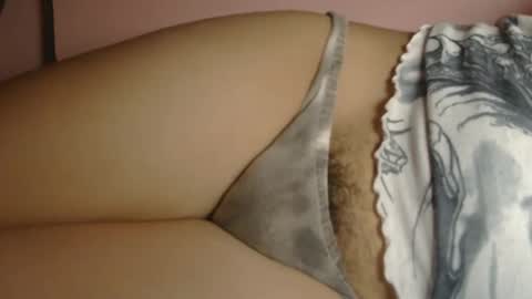 cy online show from December 16, 2025, 4:01 pm