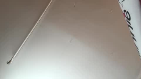 thickcock4ever online show from February 15, 2026, 8:49 pm