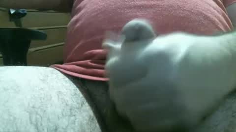 thomas0032 online show from February 19, 2026, 3:02 am