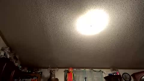 throbbing8585 online show from May 26, 2026, 5:36 am