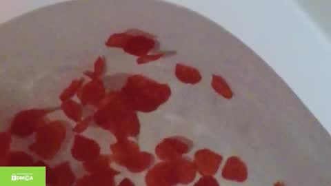 tia_j online show from October 12, 2025, 11:20 am