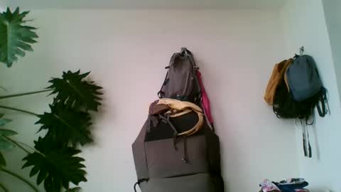 tiaretiareopui online show from October 31, 2025, 11:22 am