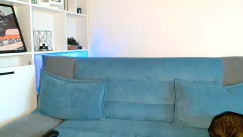 tiff online show from April 16, 2026, 3:13 pm