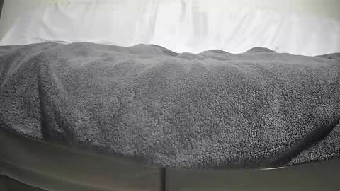 Casey online show from September 29, 2025, 4:12 pm