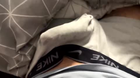 Timur online show from April 4, 2026, 10:07 pm