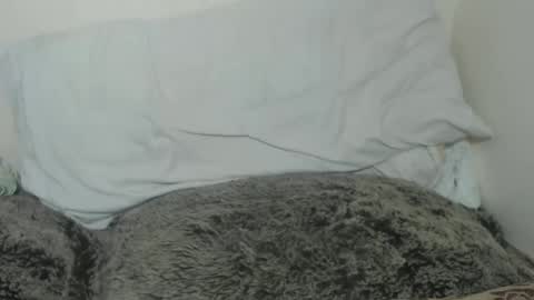 Tina online show from February 9, 2025, 9:49 pm