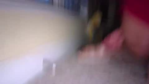 Snapshot of tj526316275 chatting on January 9, 2025, 12:19 pm tj526316275 online show from January 9, 2025, 12:19 pm