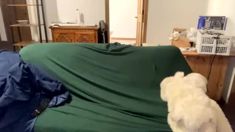 tjfemboi5641 online show from October 20, 2025, 11:54 am