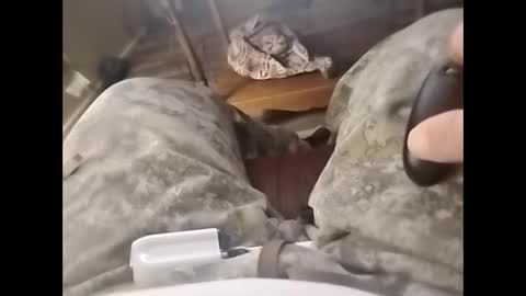 tjllagwbggrr online show from February 3, 2026, 5:16 am