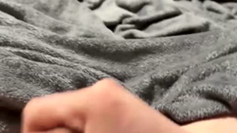 tmue online show from February 15, 2026, 2:58 pm