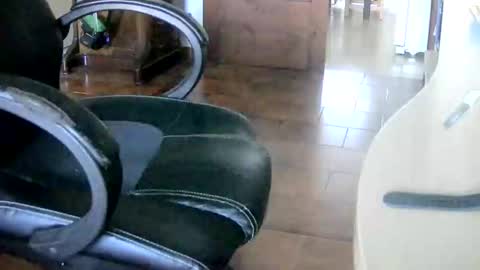 Tobiko online show from December 12, 2024, 1:28 pm