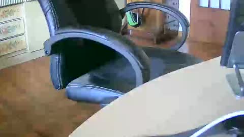 Tobiko online show from September 30, 2025, 11:48 am