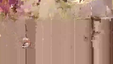 Toby Obeys online show from October 27, 2025, 3:32 am