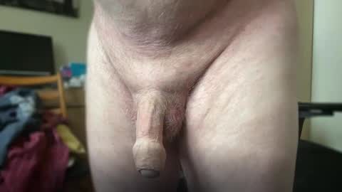 Togbear online show from October 9, 2025, 8:34 am