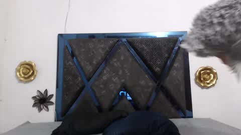 Tom And Jerry 69 online show from October 3, 2025, 1:08 pm